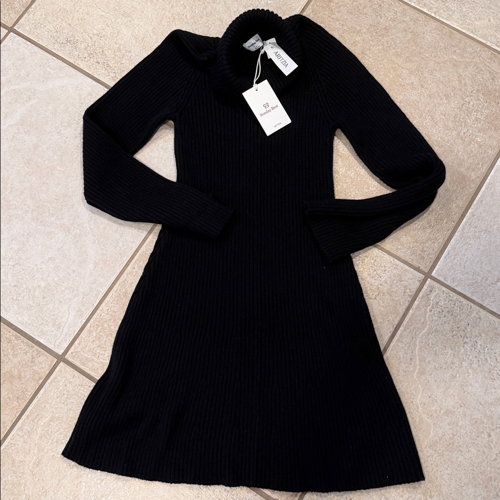 Aritzia Sunday Best Rhapspdy turtle neck ribbed sweater dress